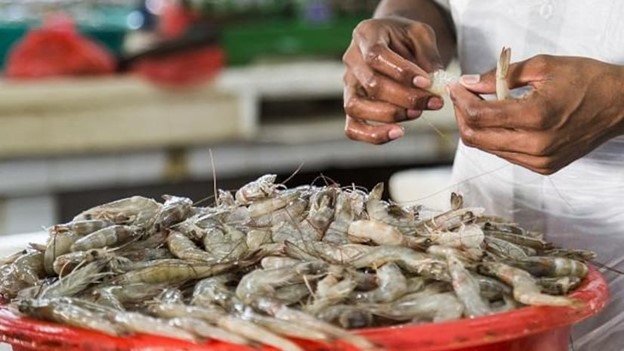 India Has Strong Framework for Seafood Units